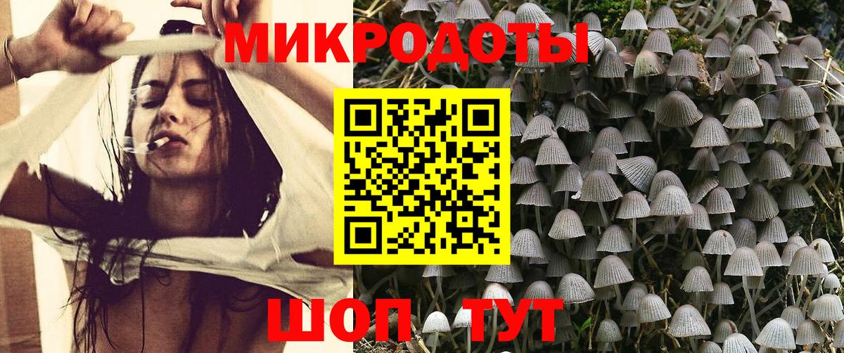 Псилоцибиновые грибы Psilocybine cubensis Ахтубинск